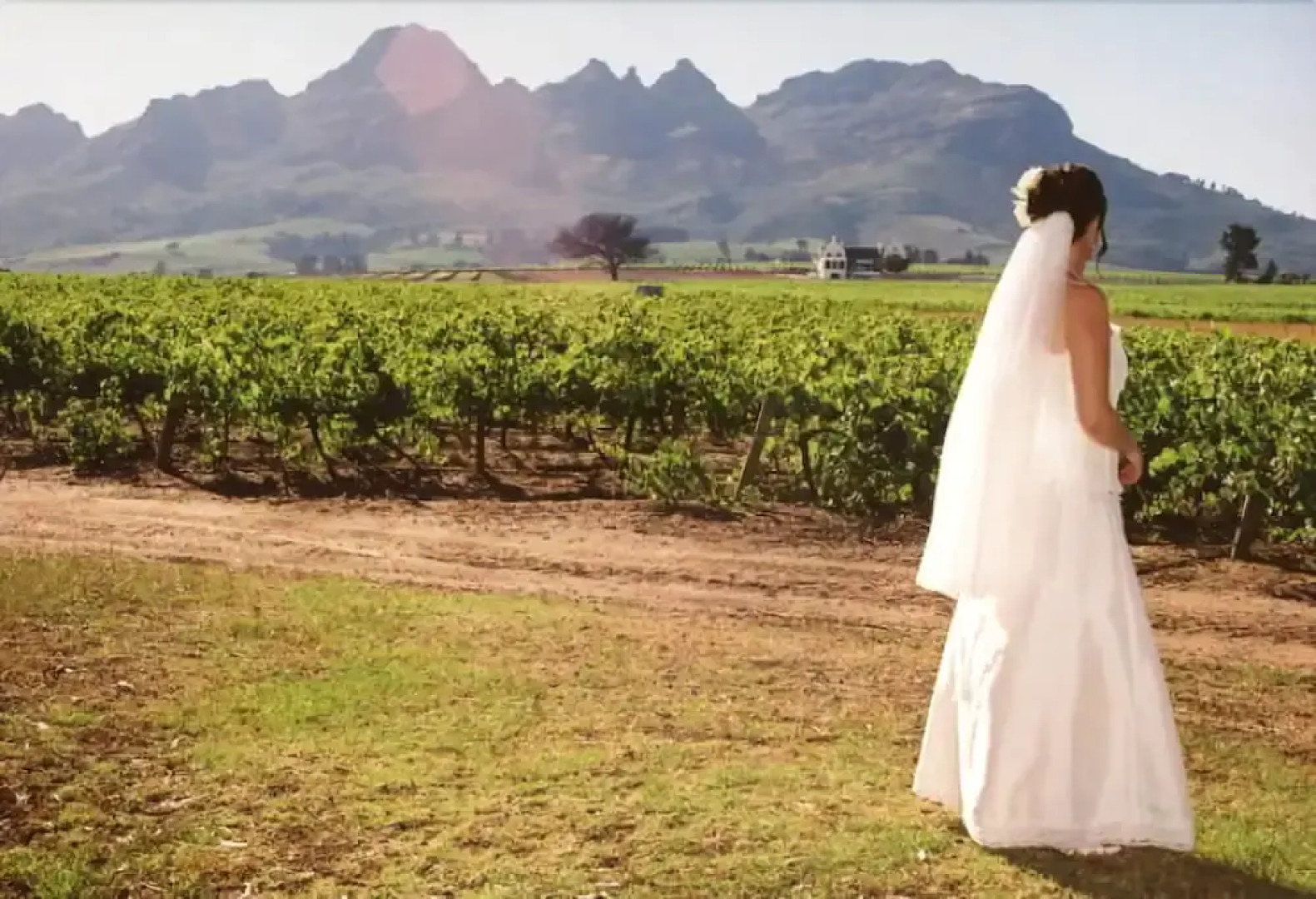 Rosenview Guest House