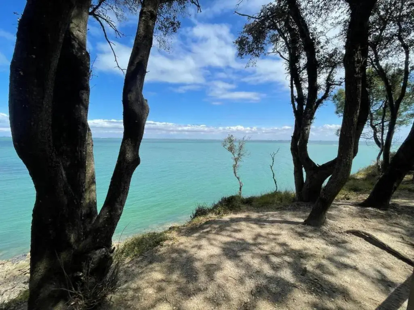 Appt Fouras Centre Ville 50m de la Mer