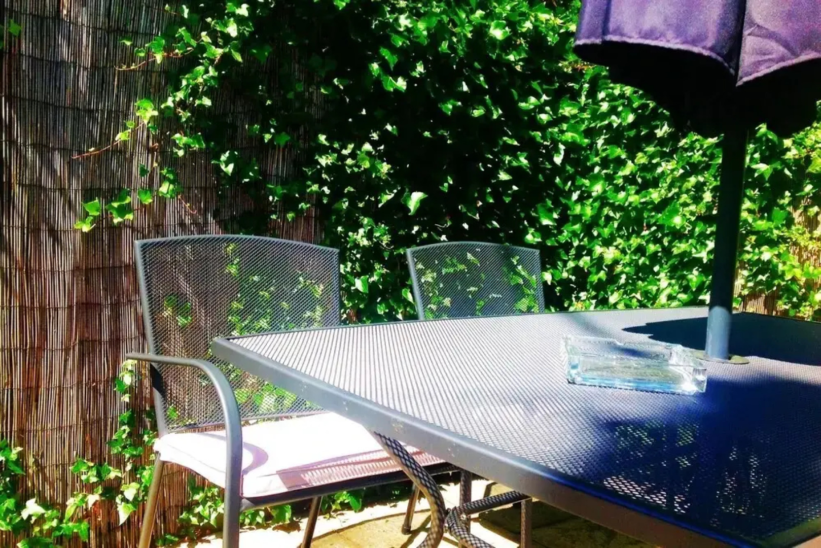 Detached Shore Cottage Solway Bay Powfoot Dumfries Scotland