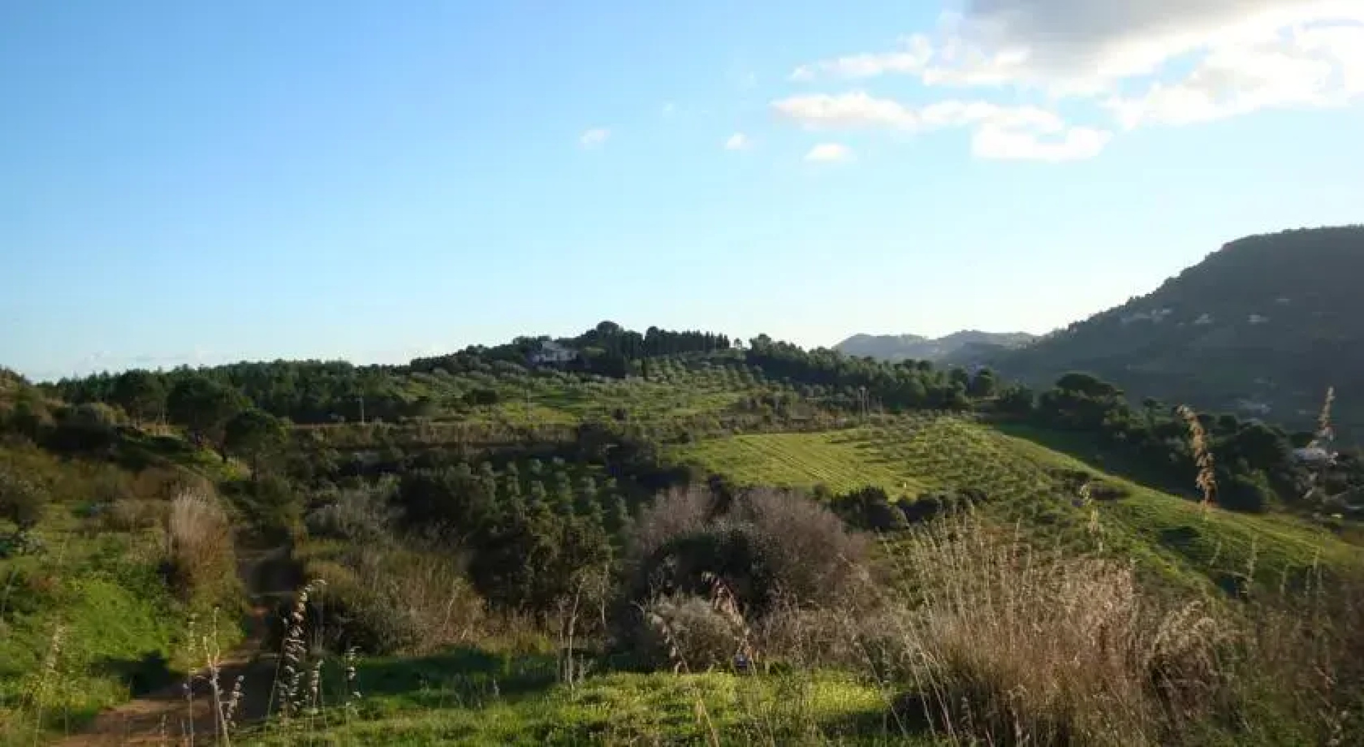 Villa Del Bosco