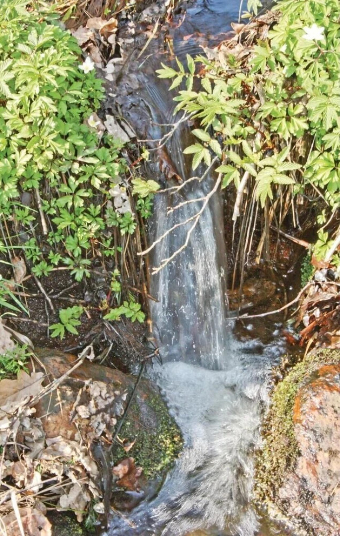 Nice Home in Örkelljunga With 2 Bedrooms and Wifi