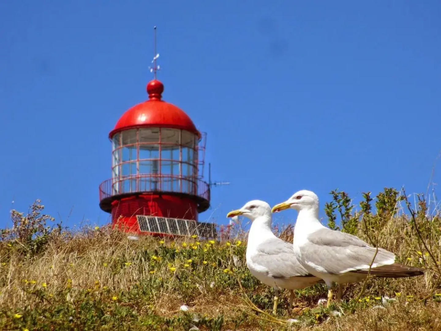 Best Houses 4 - Loft Heart of Peniche