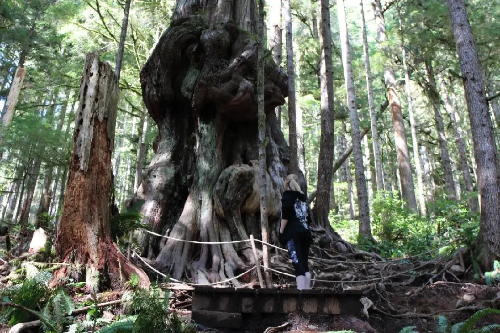 Tilby's Rainbow Cottage