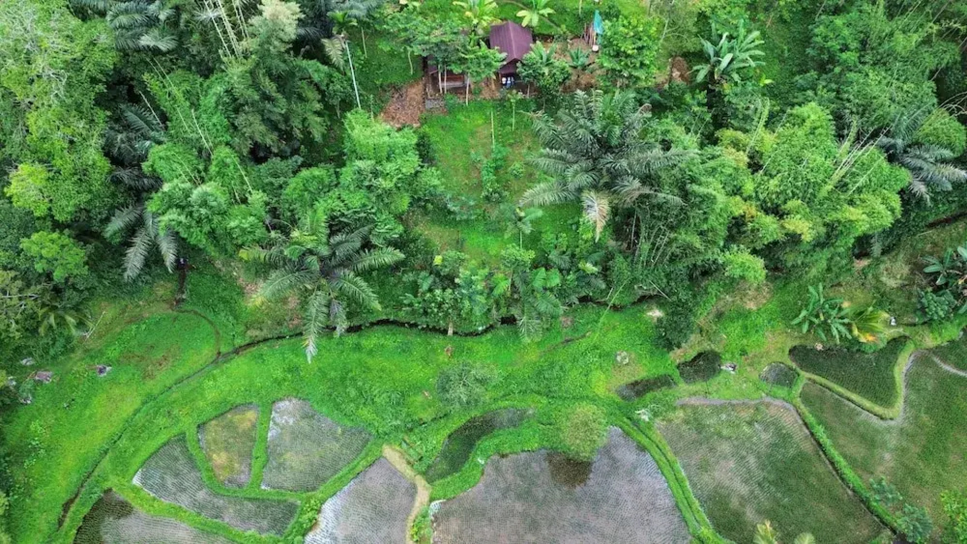 Serenity Lodge Tetebatu Lombok