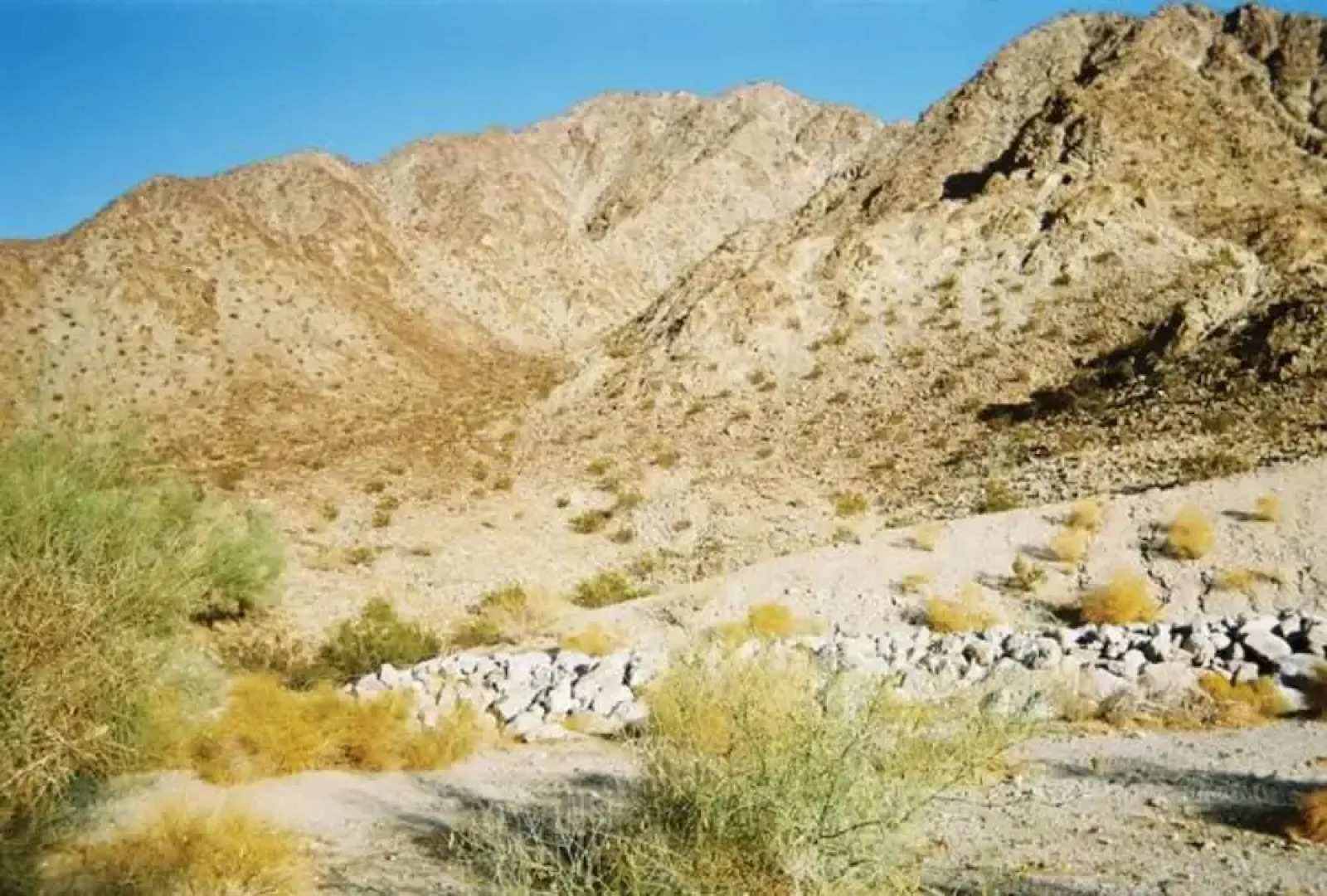 Turtle Back Mesa Bed & Breakfast