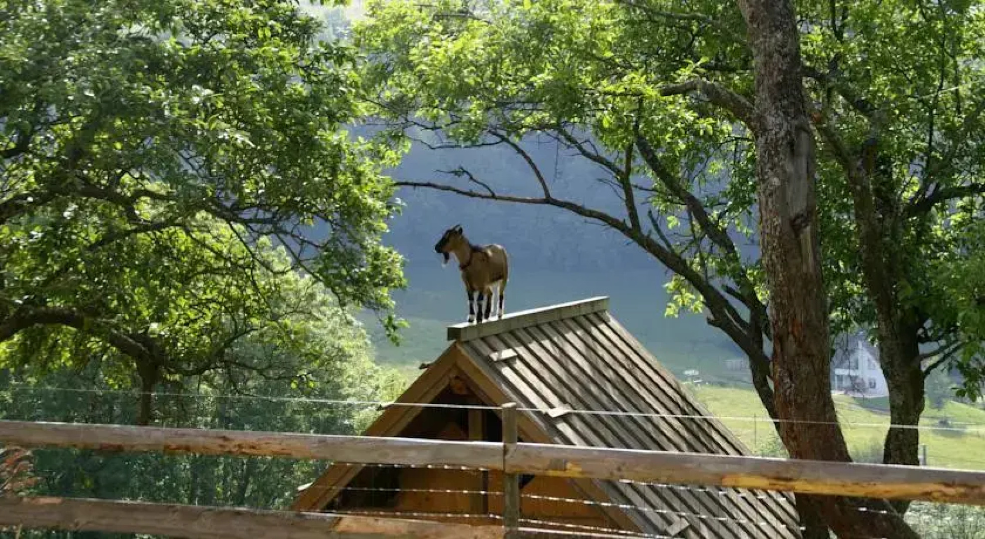 Gites de la Pierre du Loup