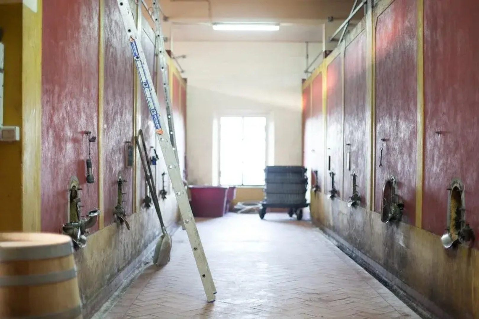 Agriturismo Tenuta Lupinari