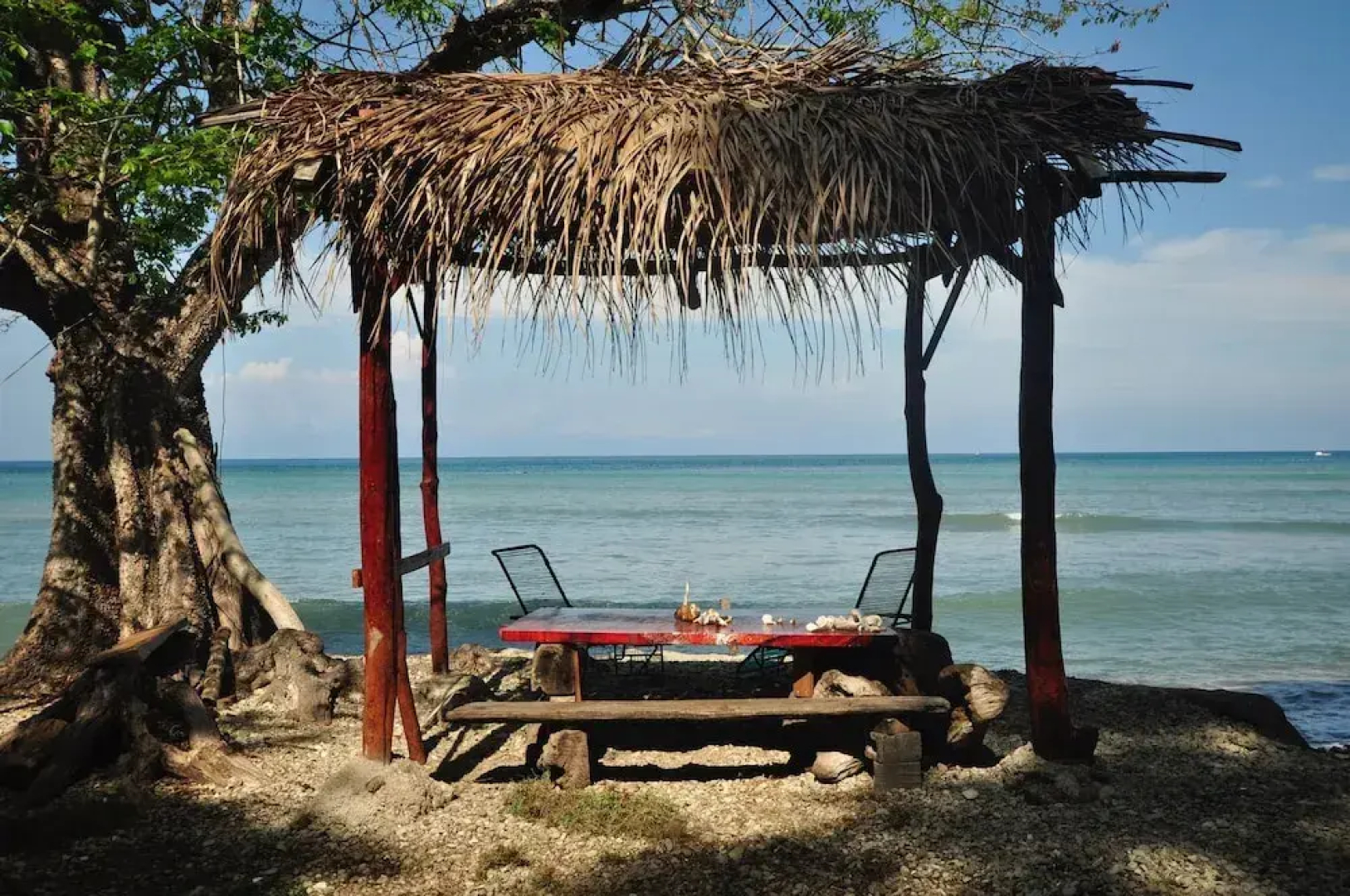 The Howler Monkey Hotel