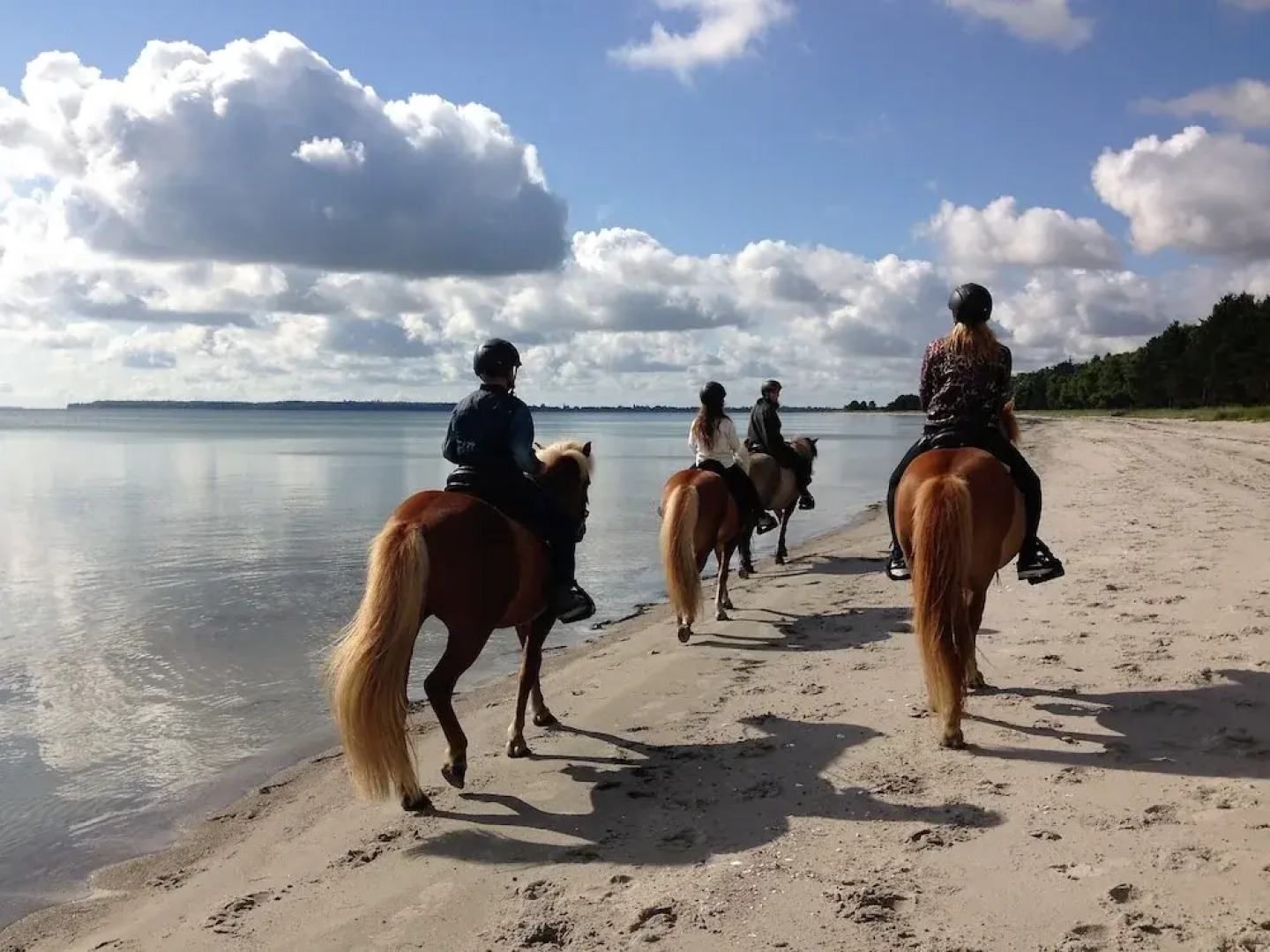 Feddet Strand Resort