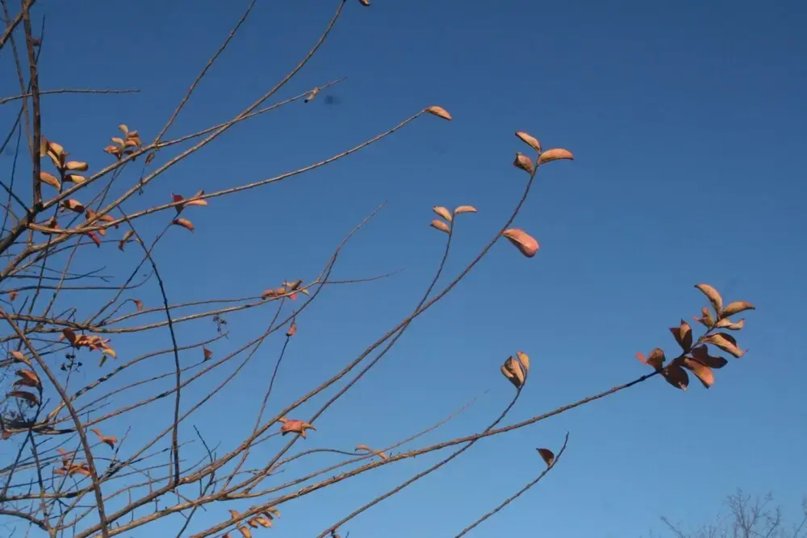 Recanto do Encanto Eco Beach Stay