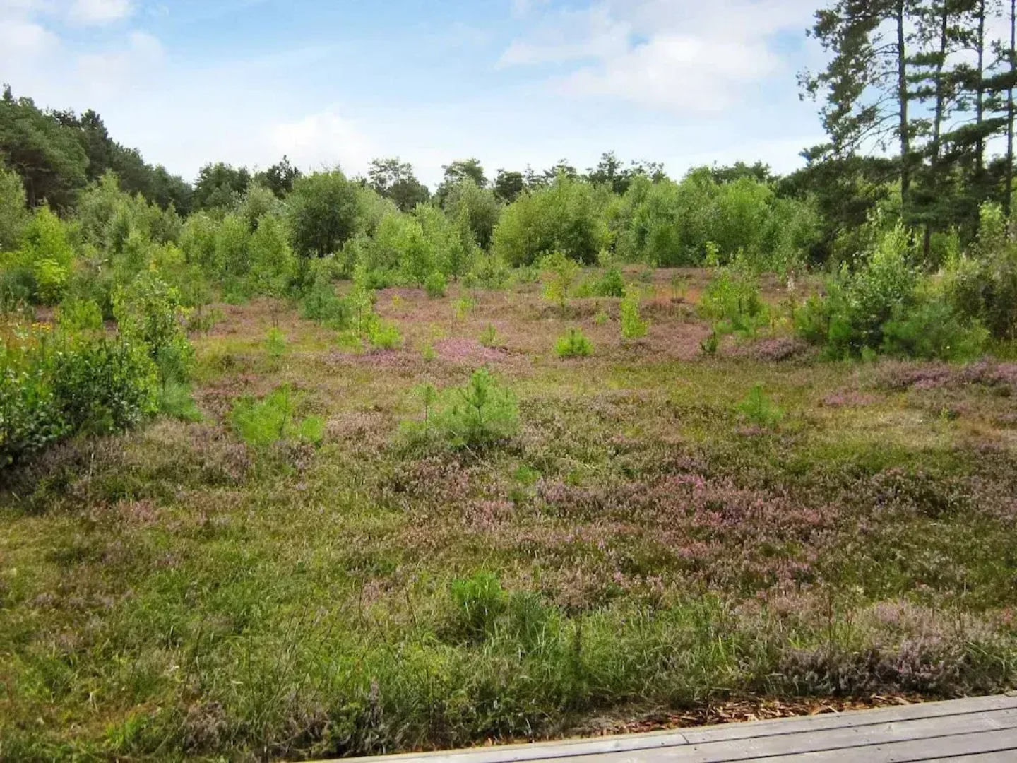 6 Person Holiday Home in Laeso