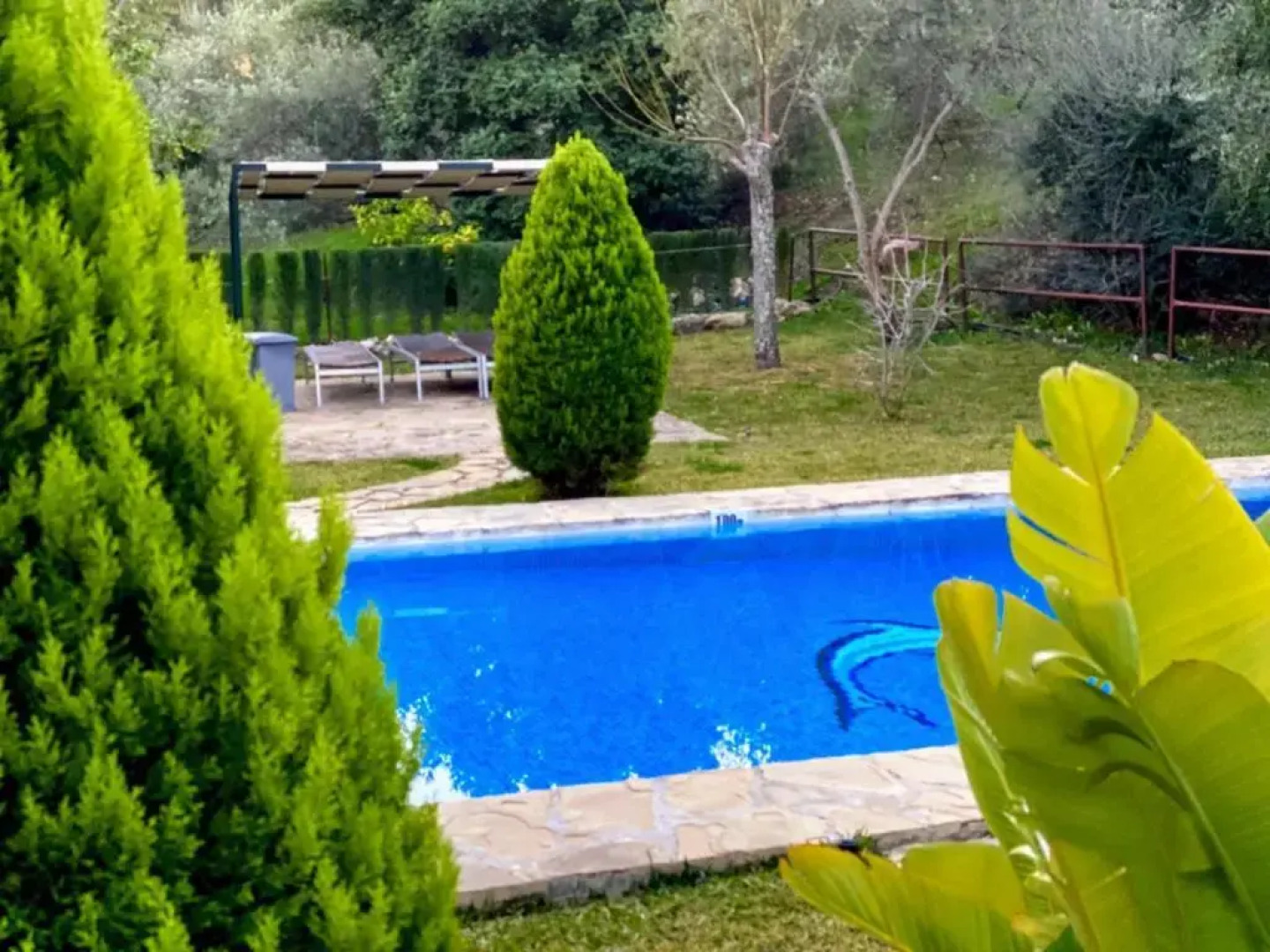 Casa Rural Los Algarrobales