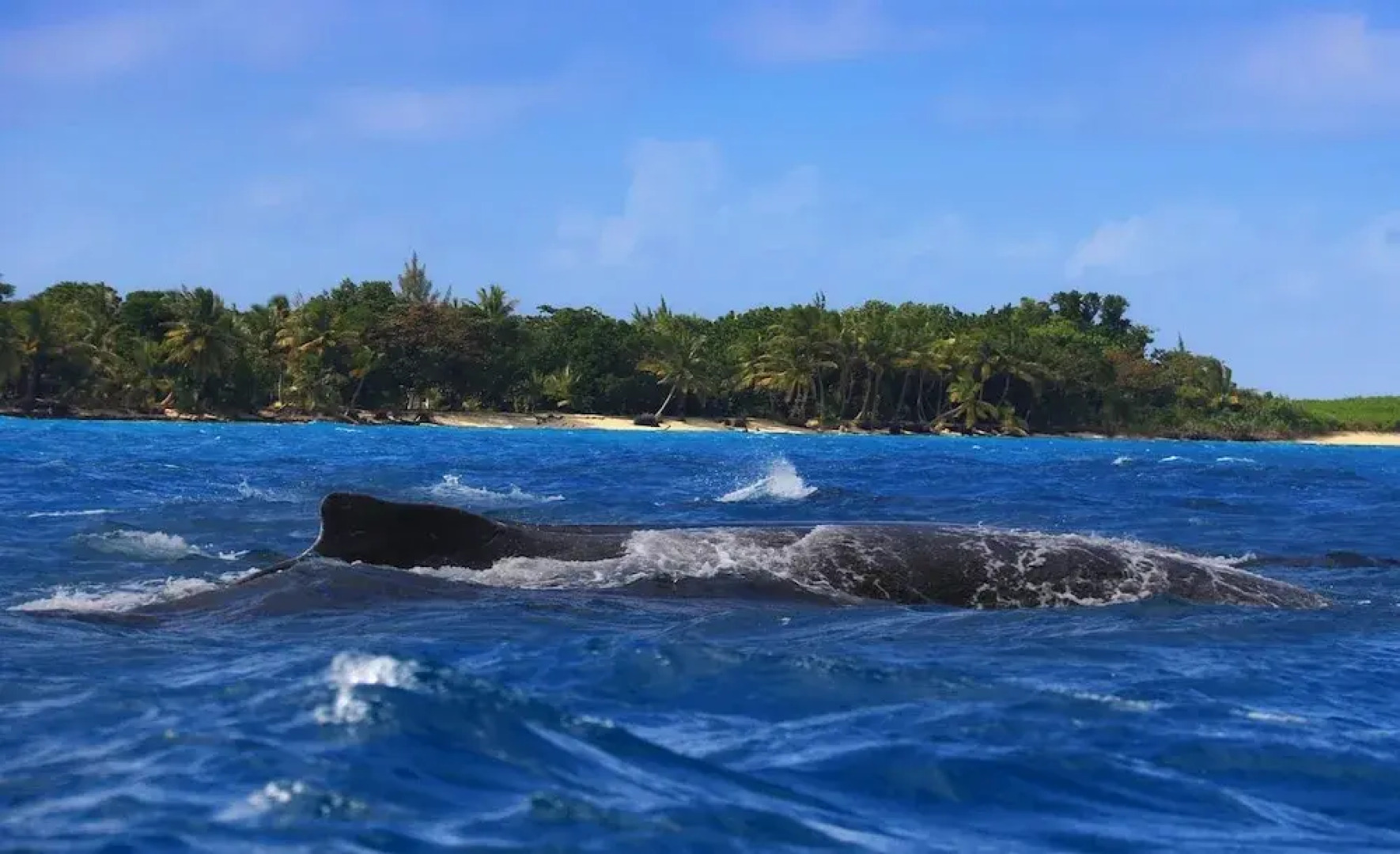 Analatsara Eco Lodge