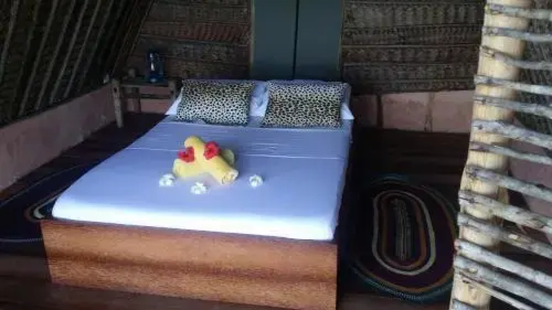 Dolphin Safari Lodge