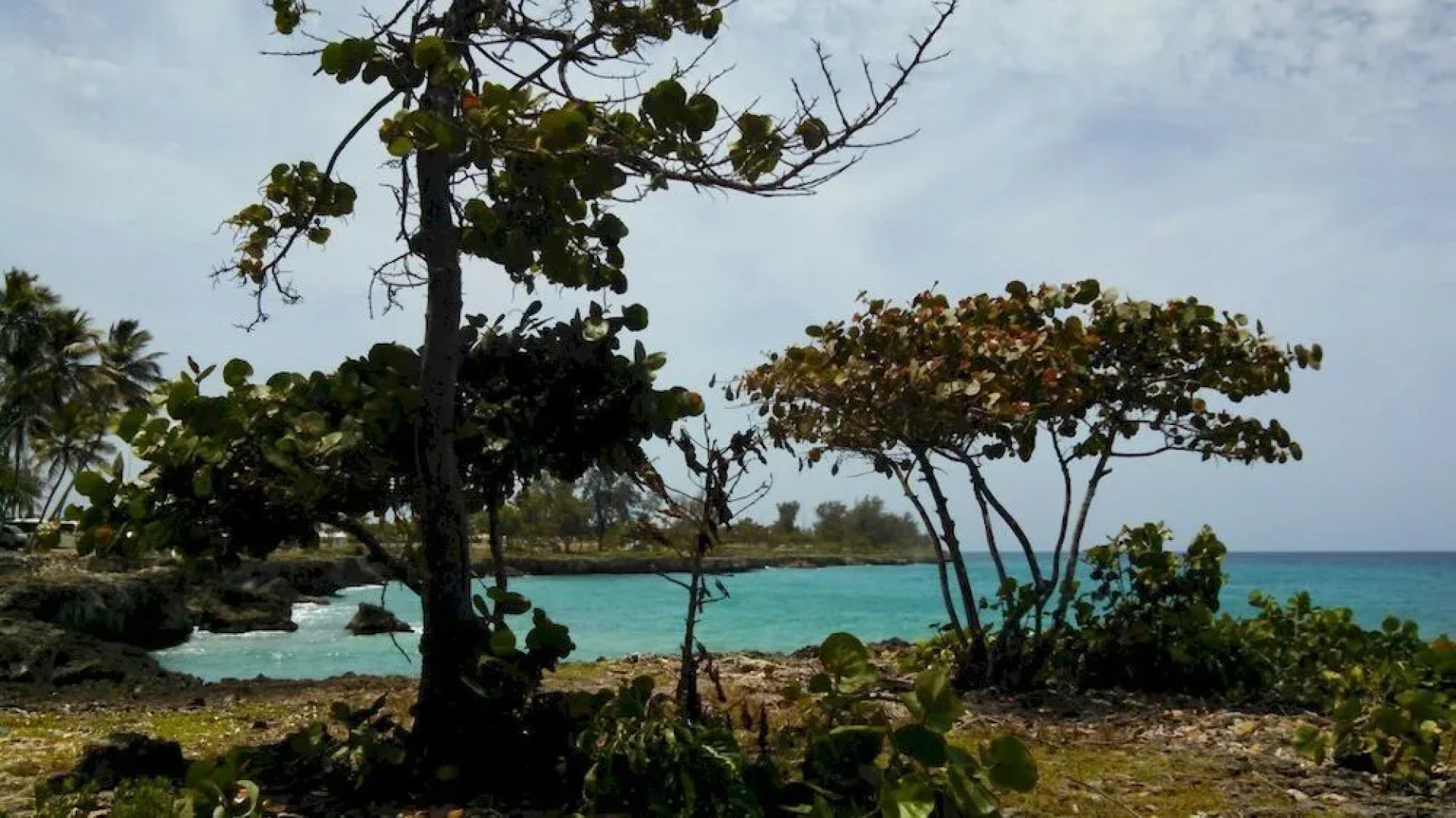 Residencial DAlessandro