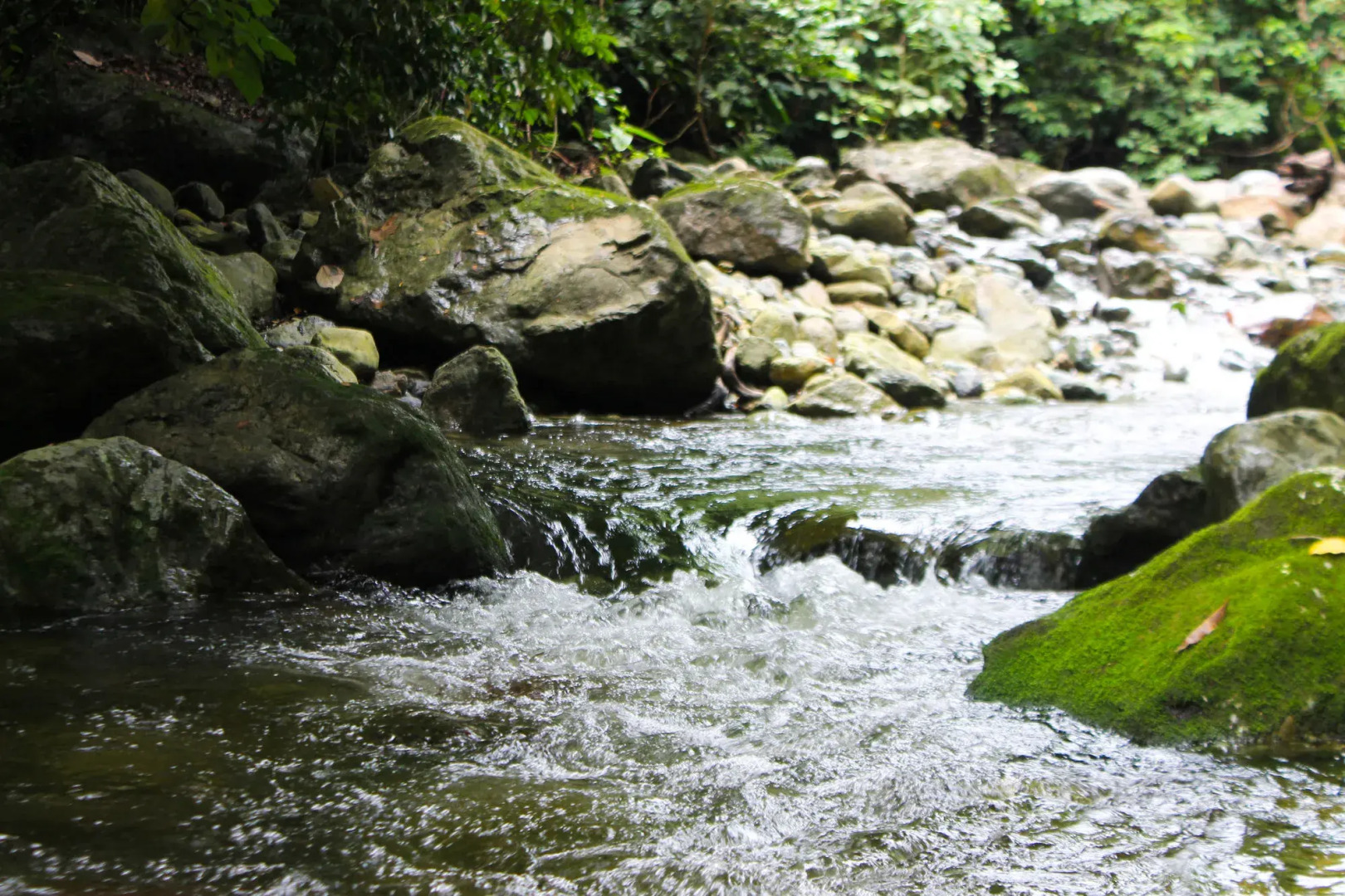 Corinto Pearl Eco Resort