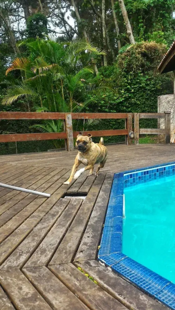 Casa Serra da Cantareira