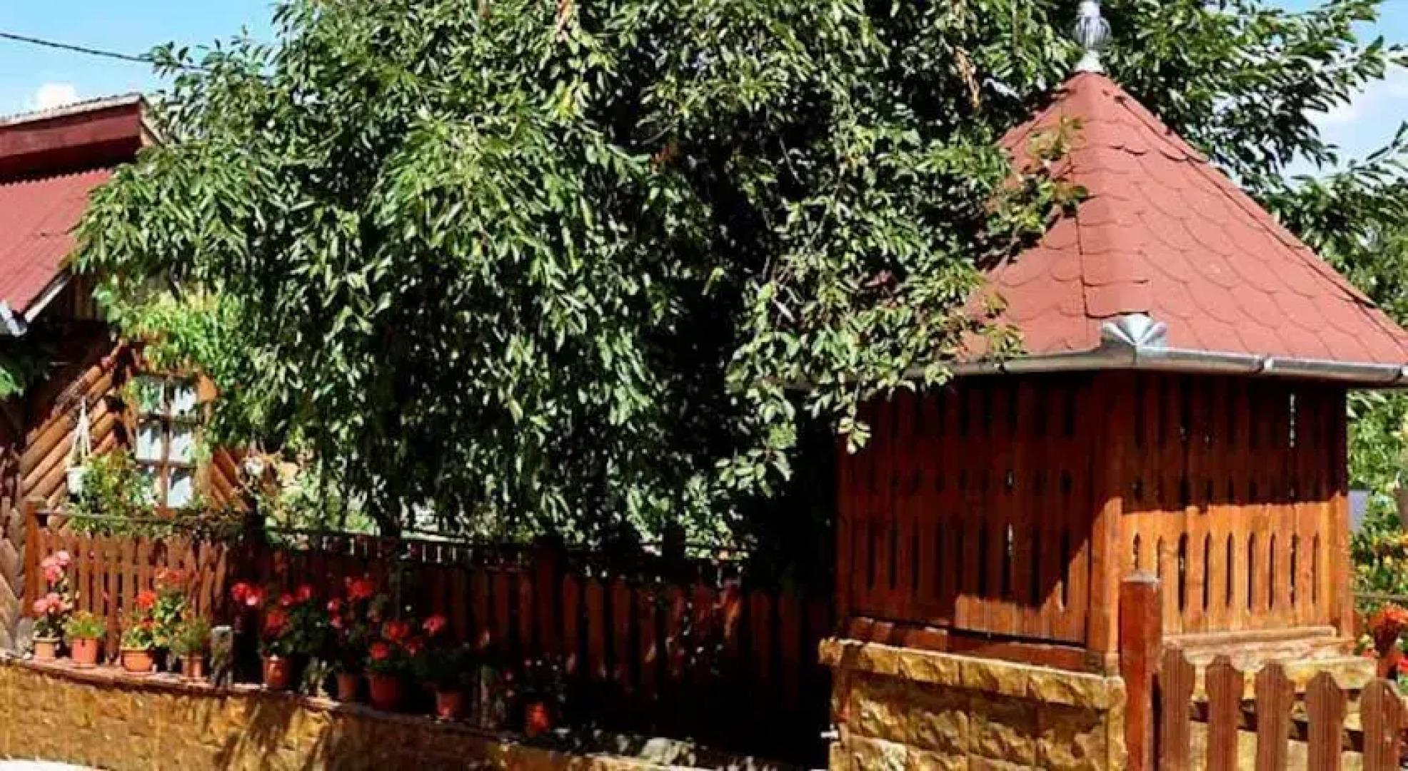 Pensiunea Iancu Salasu de Sus