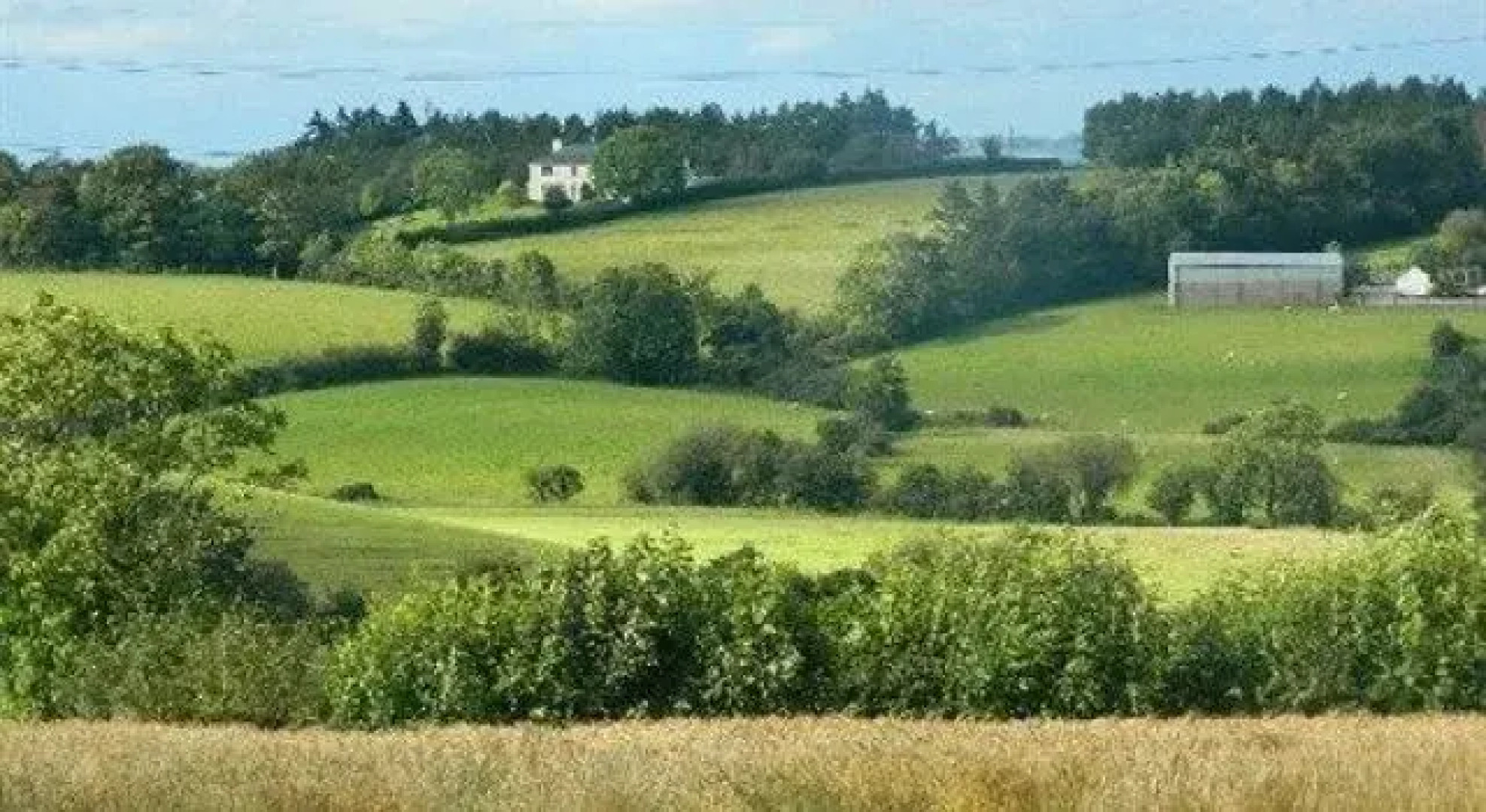 Drumlin Lane Self Catering