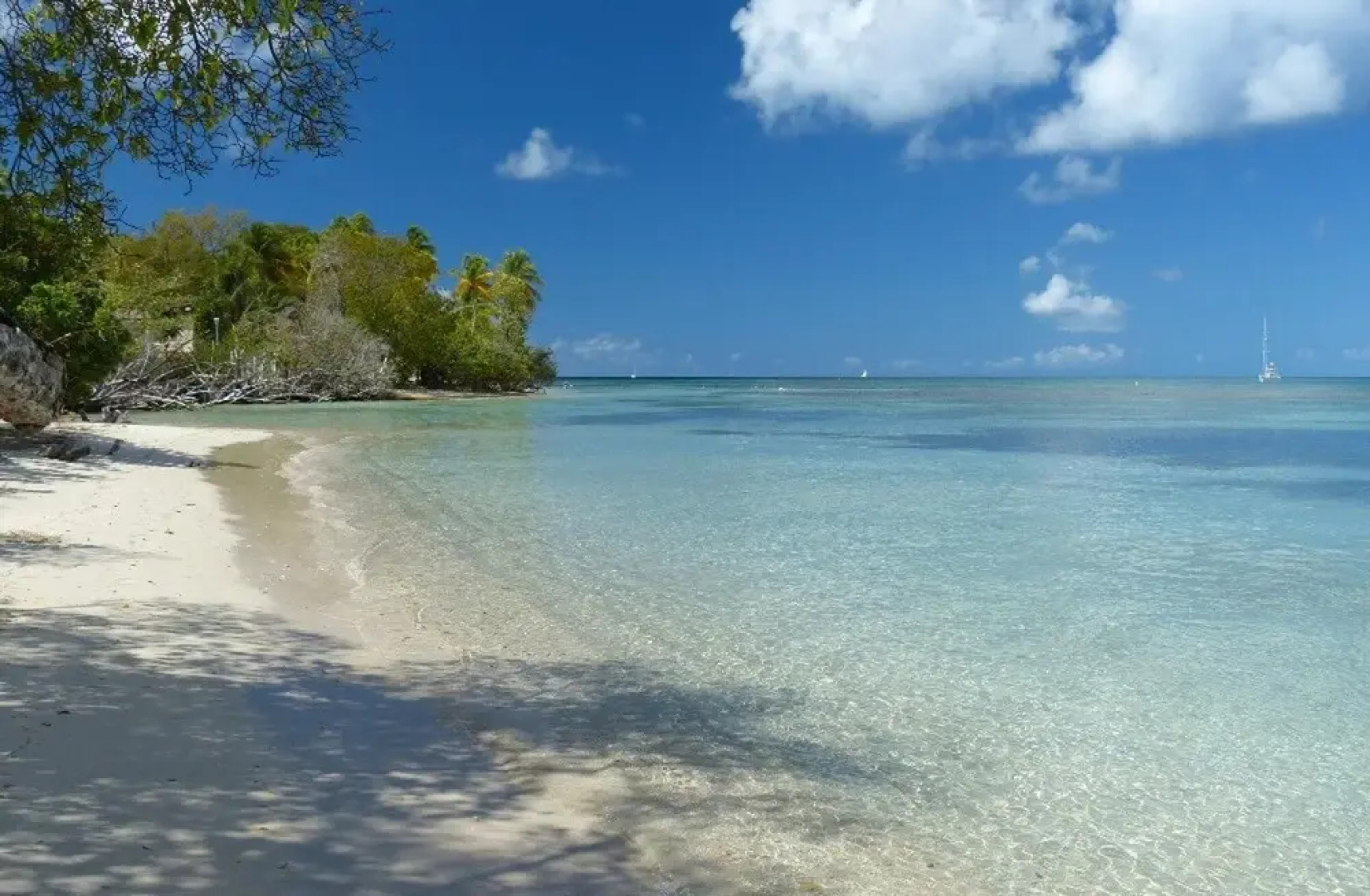 Apartment With One Bedroom In Le Lamentin With Enclosed Garden And Wifi