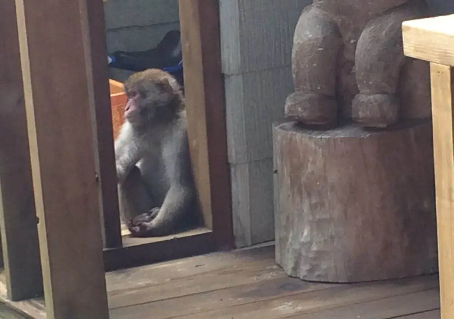 Nikko Teddy Bear House