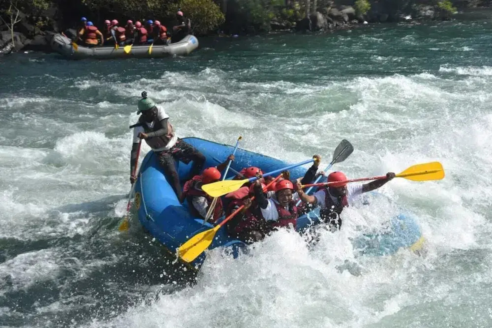 Cheetah Farms Jungle Stay