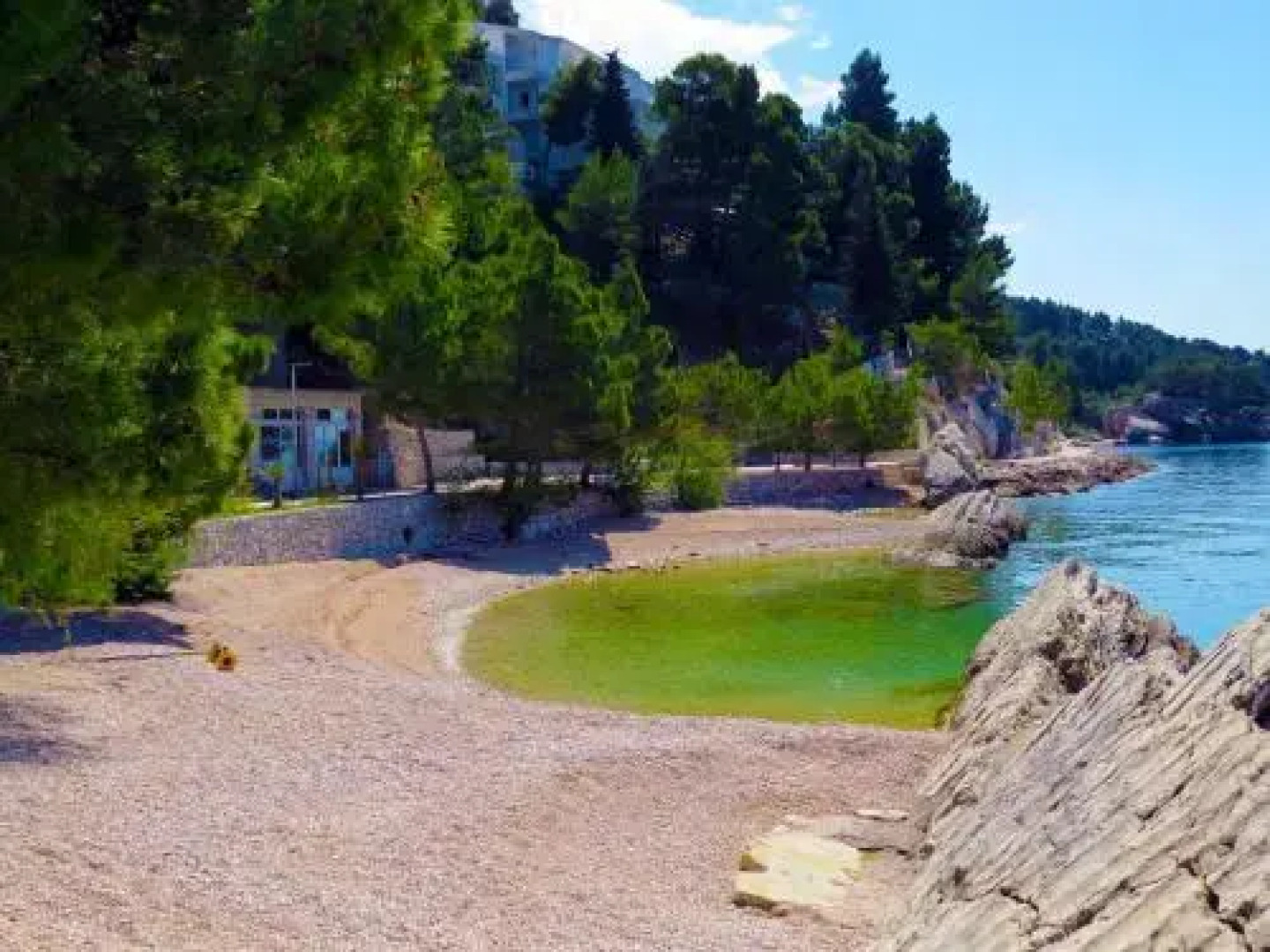 Apartments Pino Brela