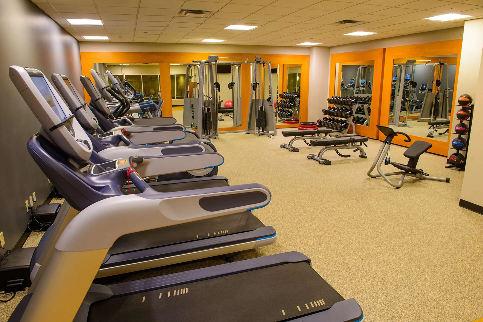 DoubleTree by Hilton Rochester - Mayo Clinic Area