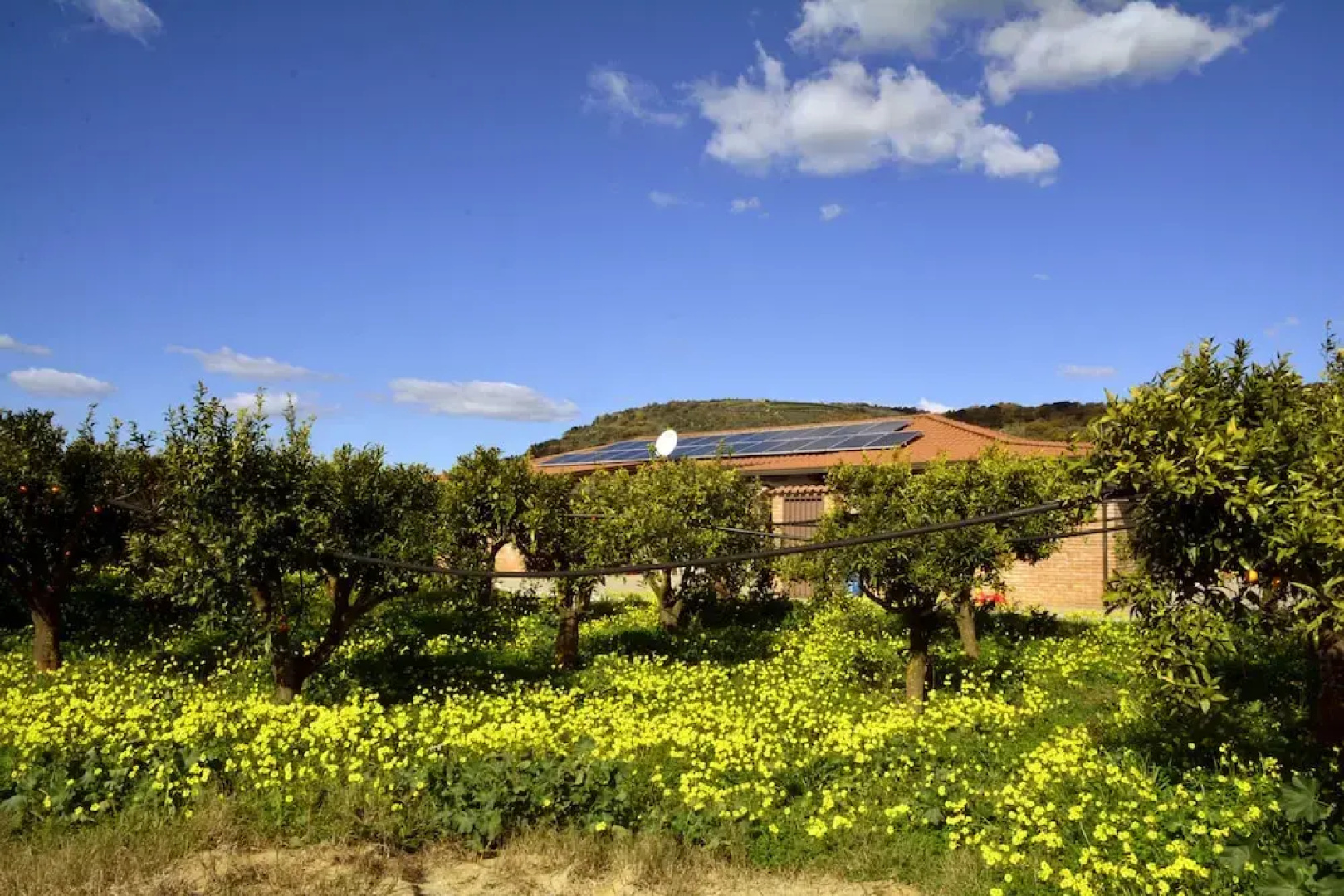 Le Terre Di Zoè Farm House