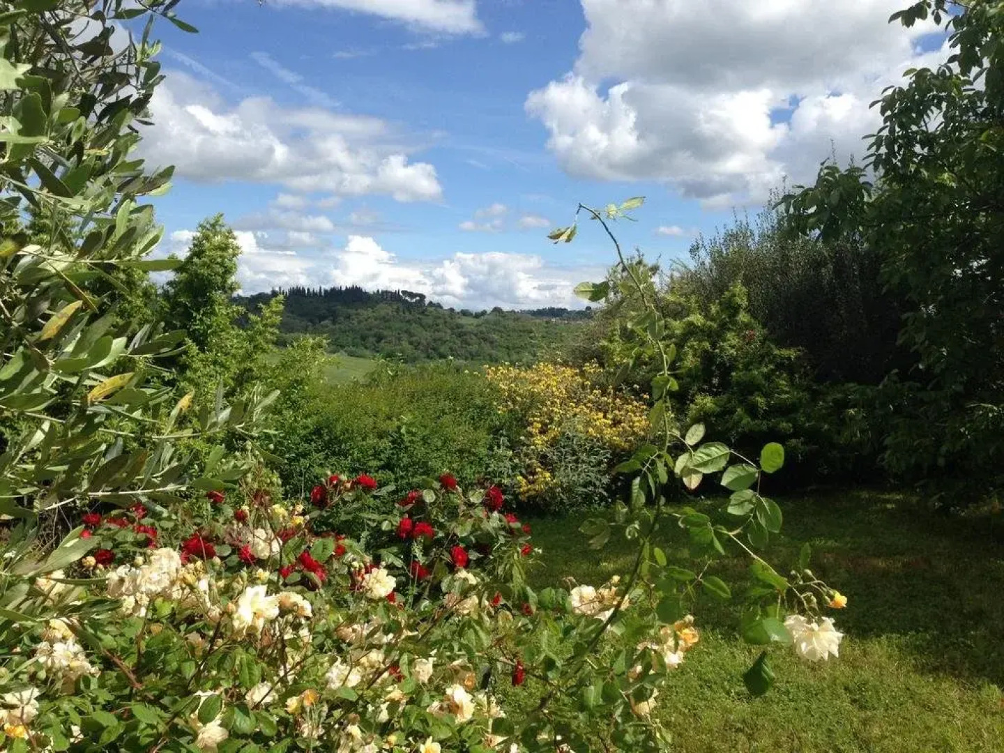 Agriturismo Biologico Antico Uliveto