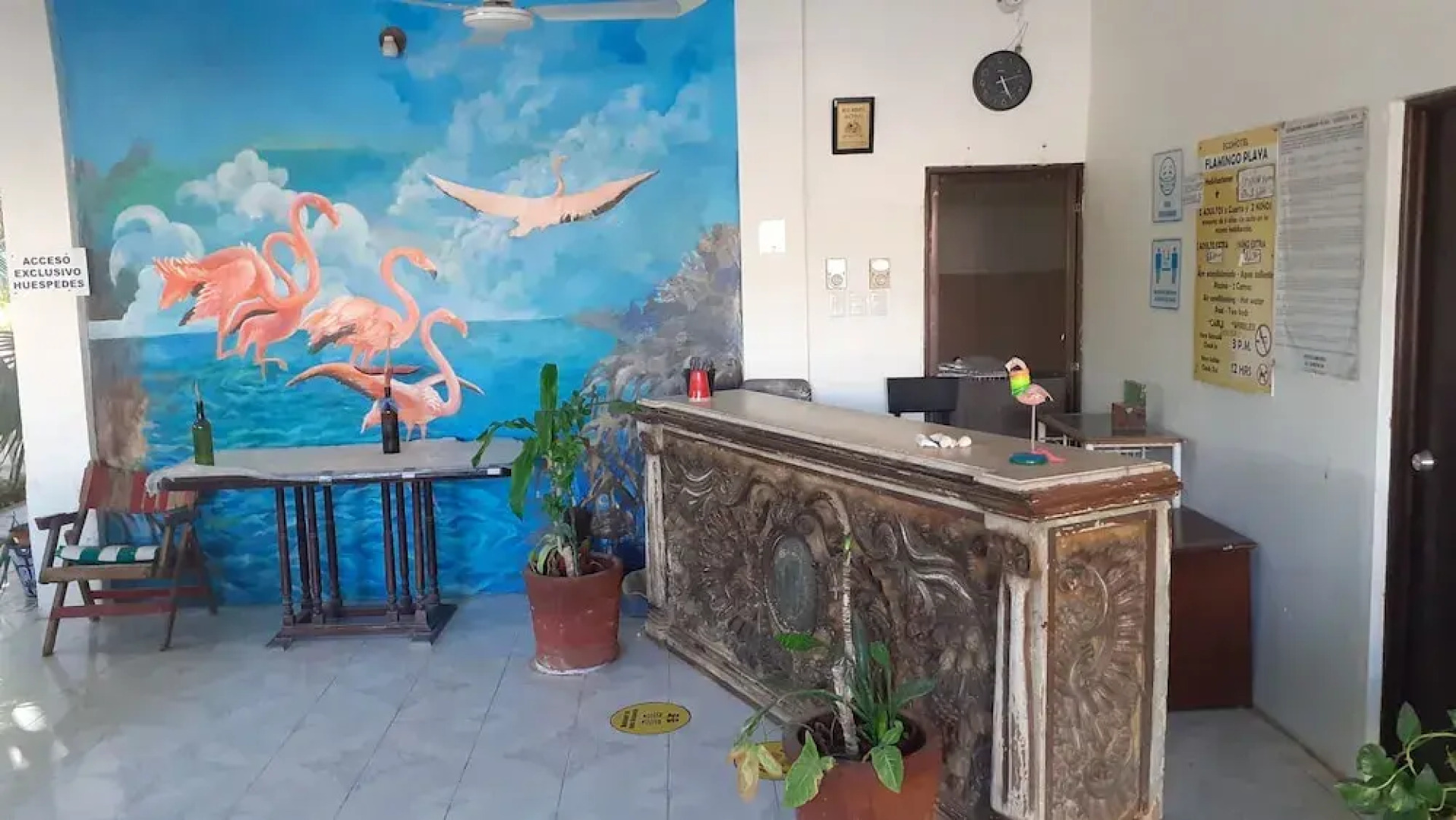 Flamingo Guest House Celestún