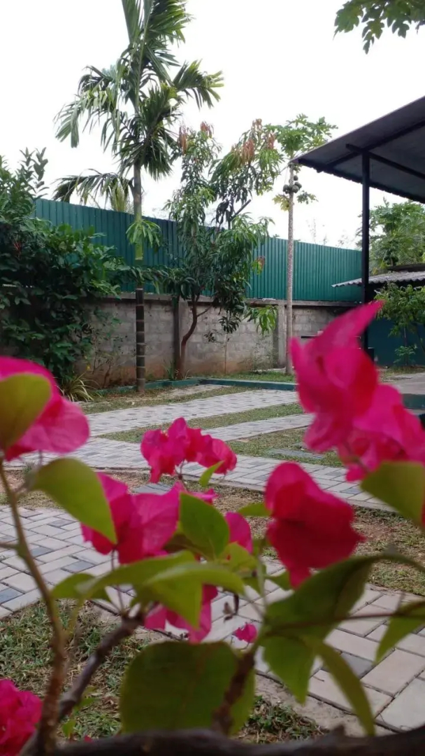 Thomasha Homestay