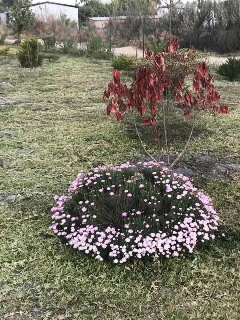 Kavango Dachils Lodges Ext2