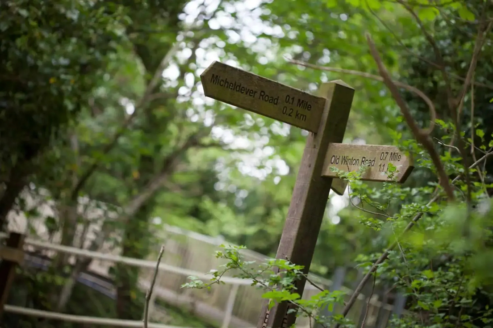 Best Western Andover Hotel