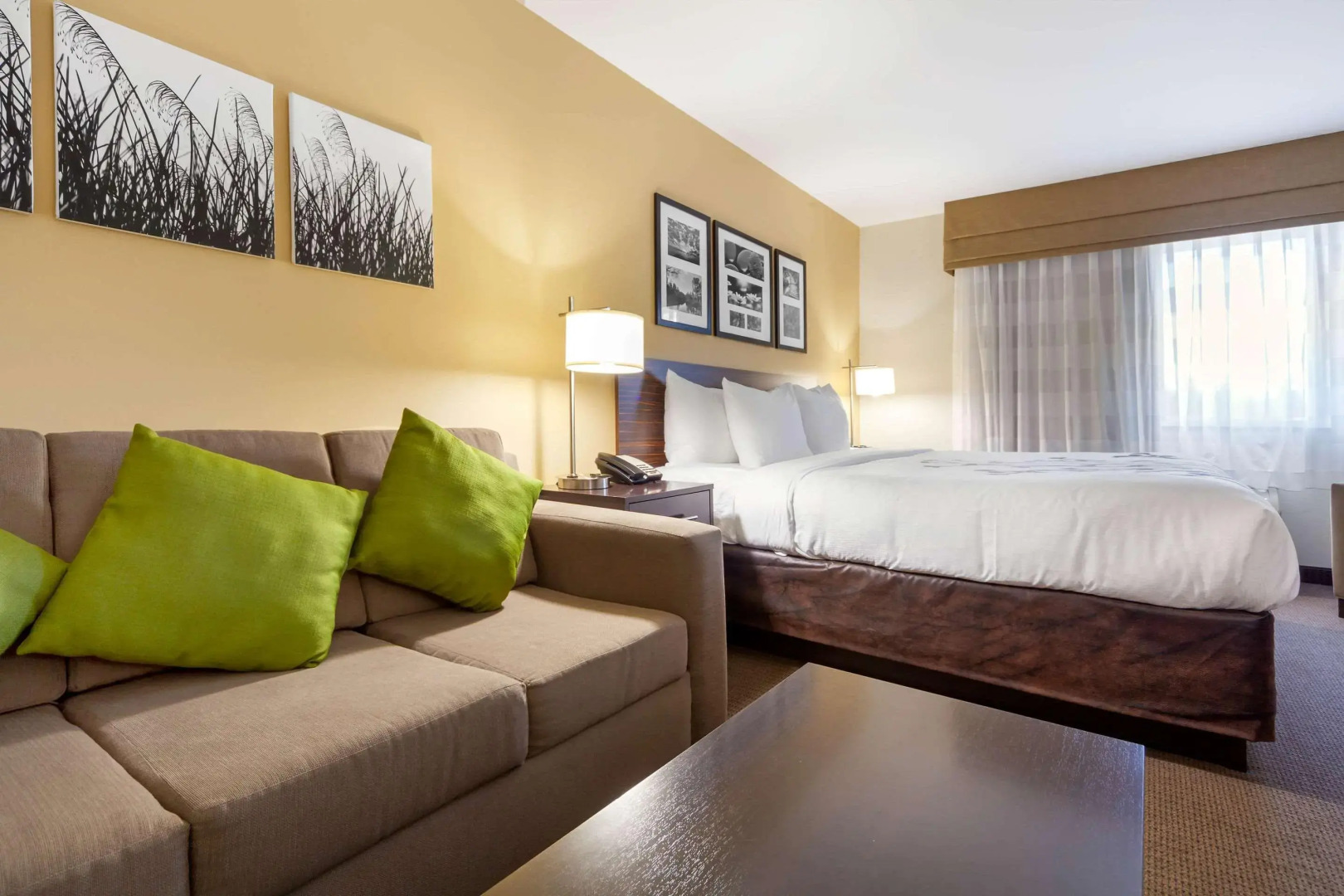 Sleep Inn & Suites Bismarck I-94