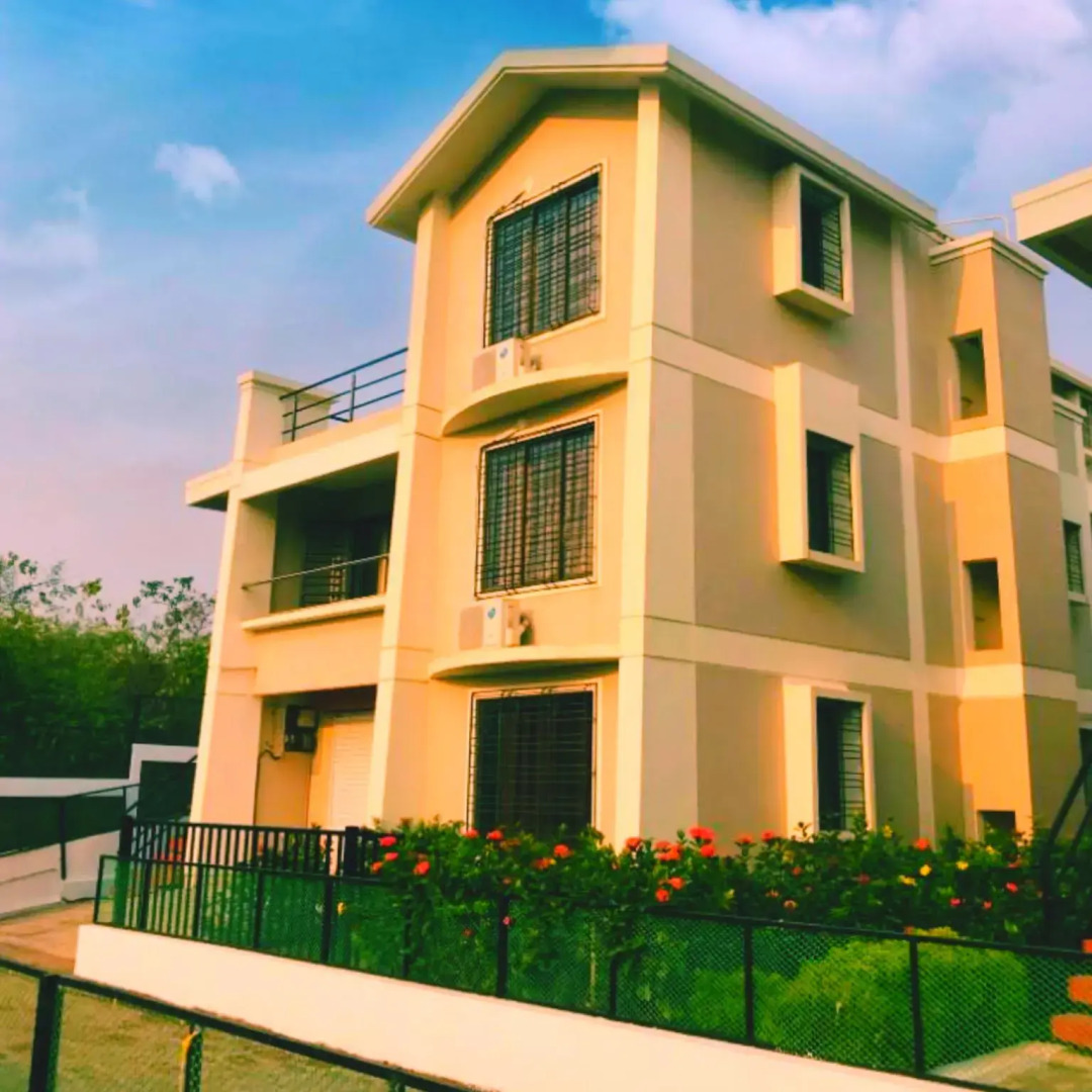 The Blue View By Timber