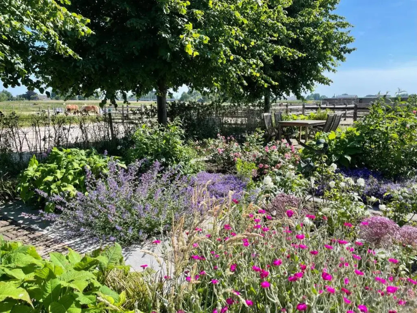 Hestar Husid, het luxe paardenhuis