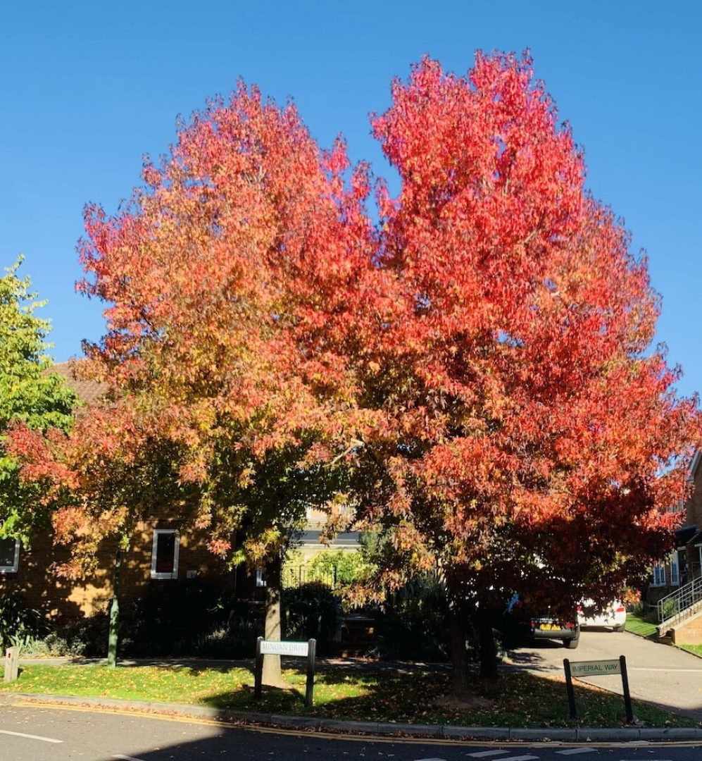 Cosy Lock House 15min Warner Bros Studio