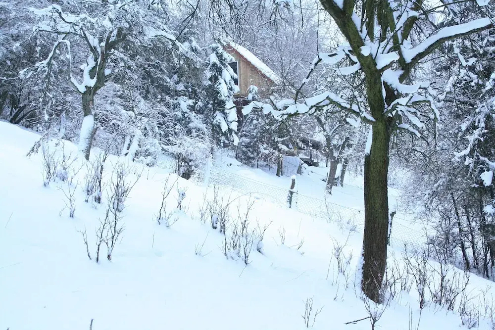 Vintage Holiday Home With Private Terrace