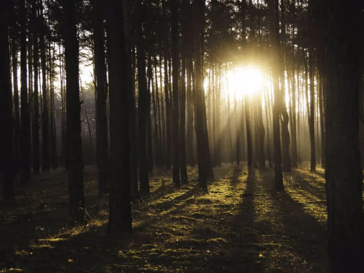 STARA WIEś RESORT & ODNOWA 9665