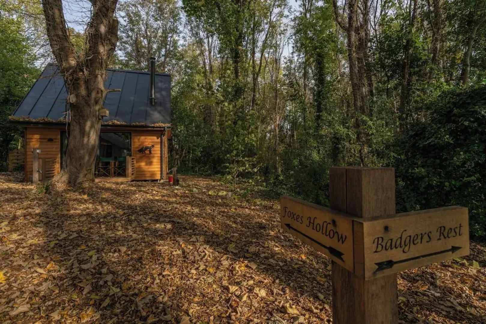 Woodland Cabin Retreat in Alfriston - hot tub