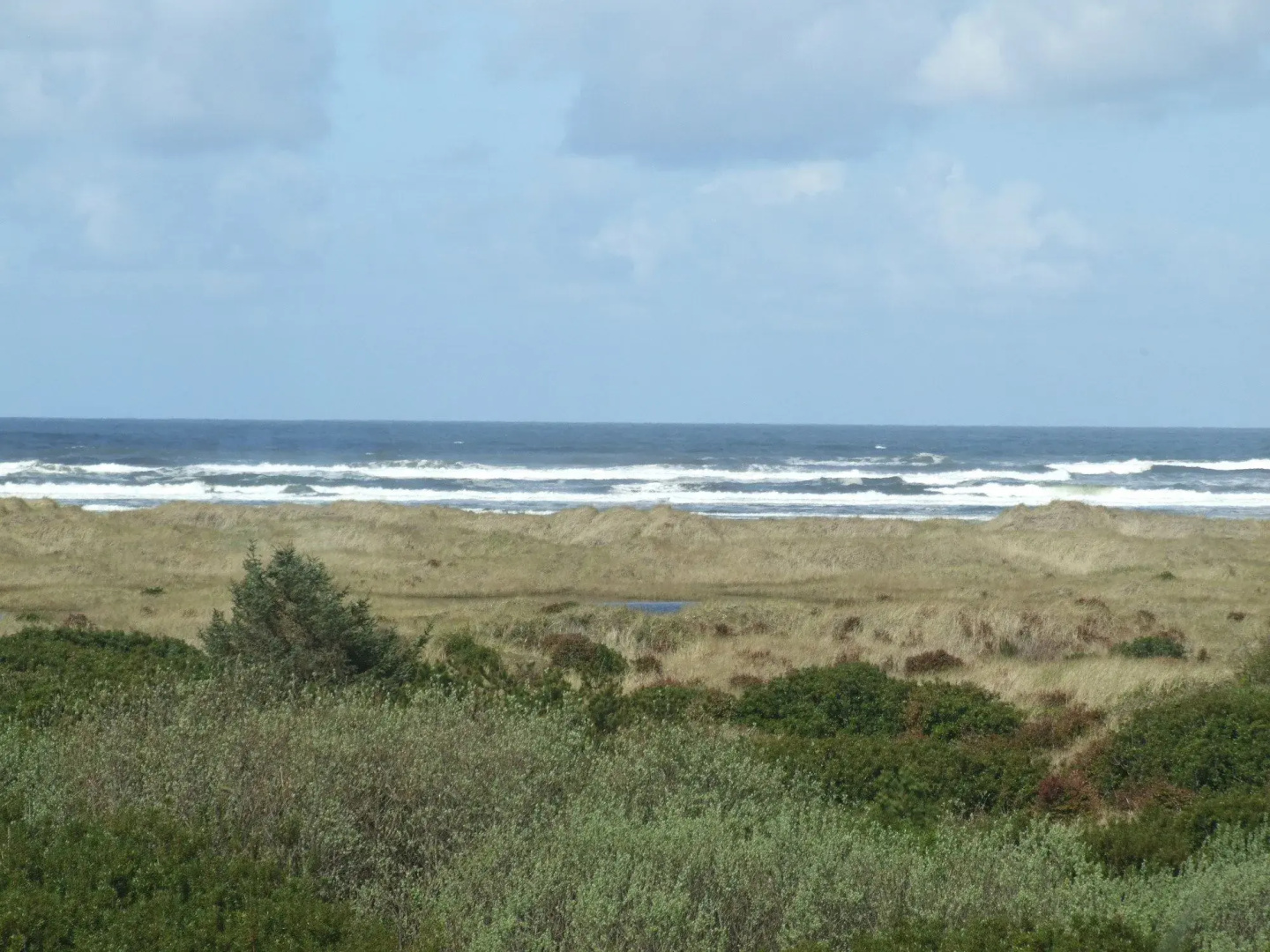 Comfort Inn & Suites Ocean Shores