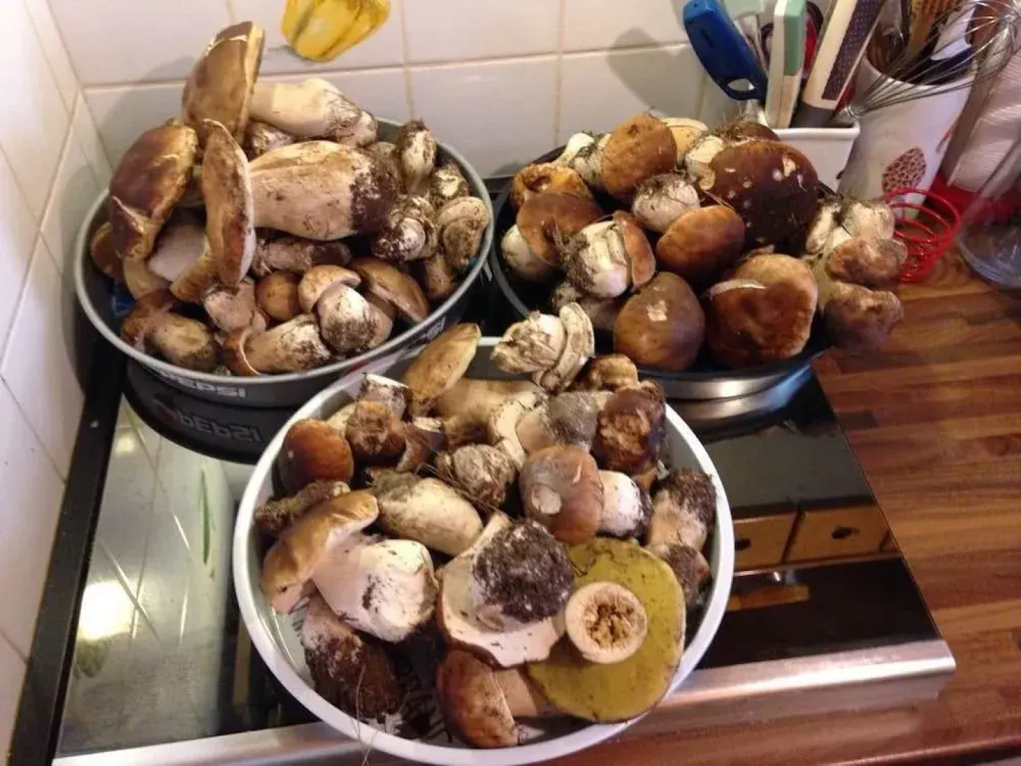 Osteria Gaute La Nata