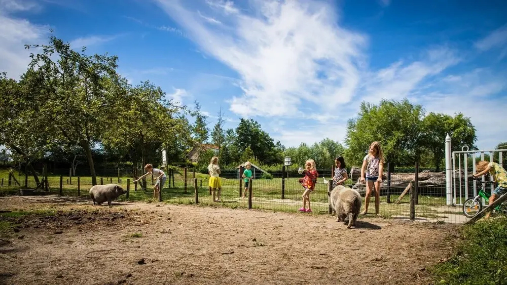 Appartement - Kon Emmaweg 26 Vrouwenpolder Uitspanning Oranjezon