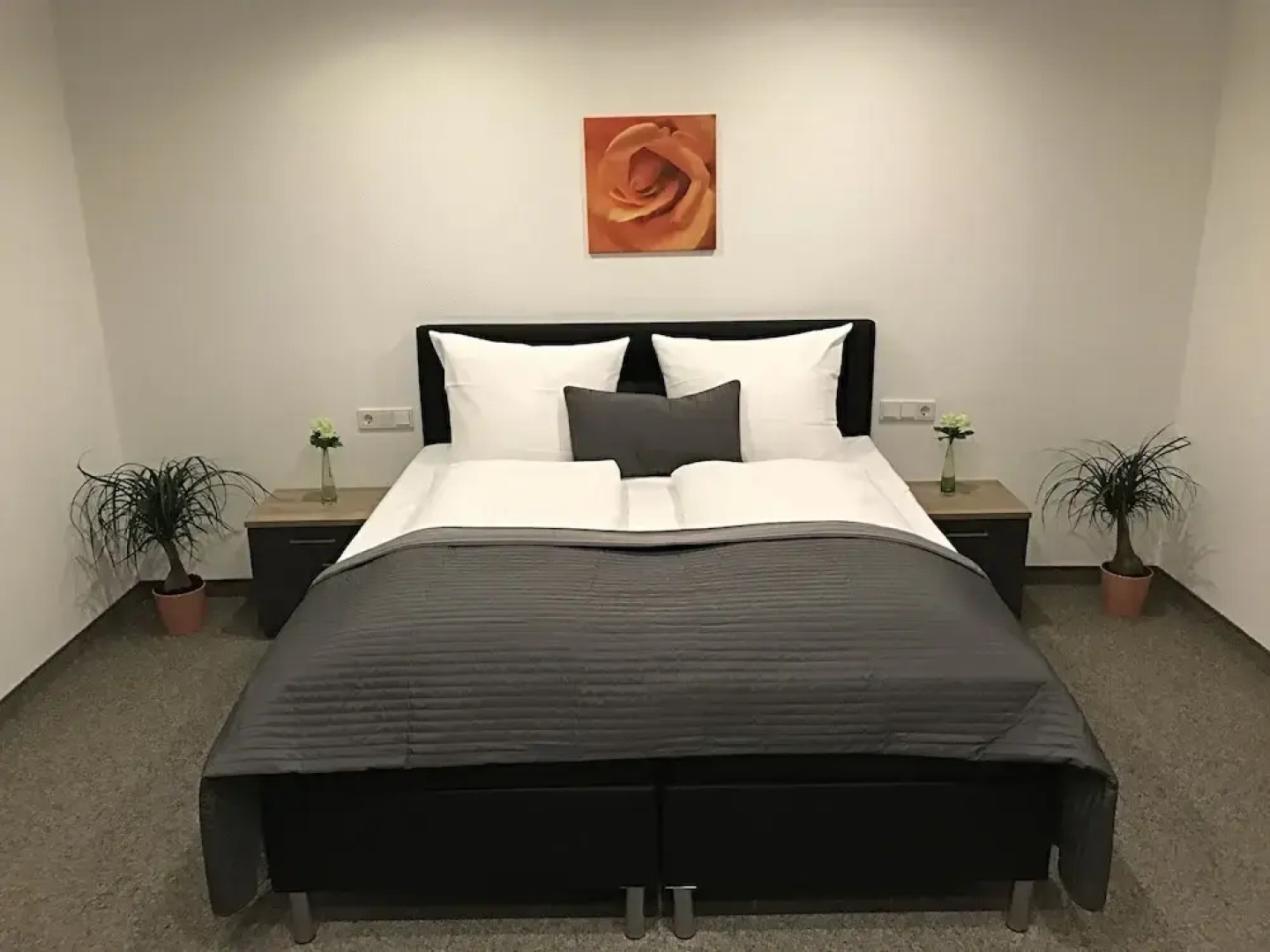 Pension Scheiber Hof