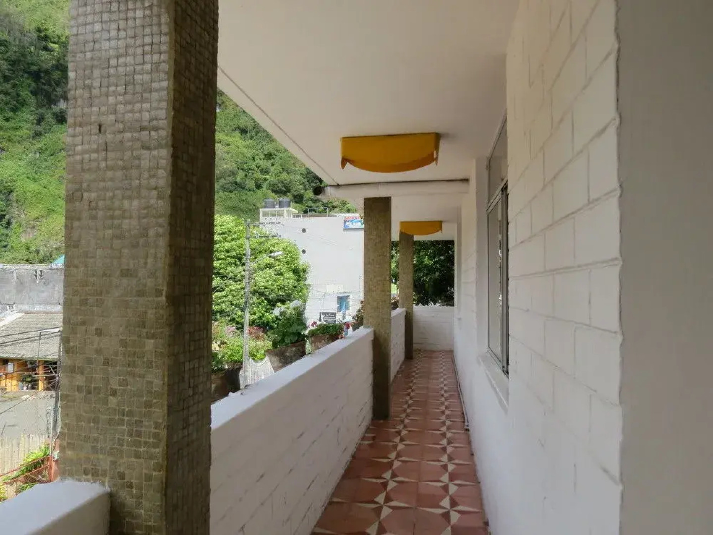 Hostal Plantas  Y Blanco