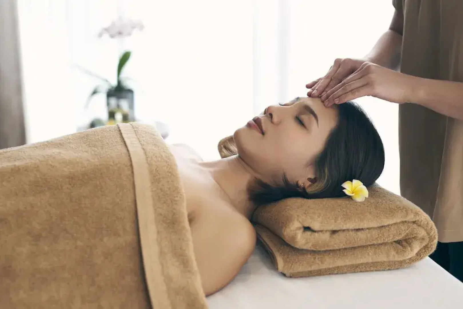 Senna Wellness Retreat