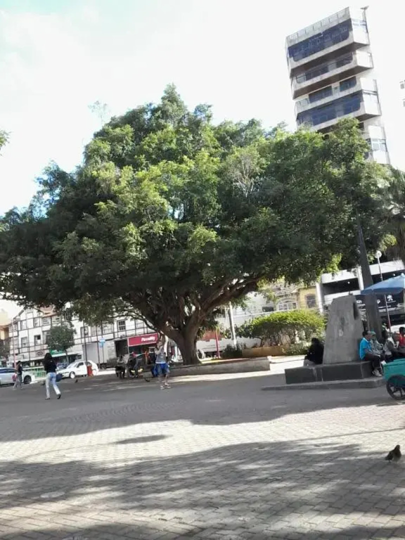 Apartment Terezopolis