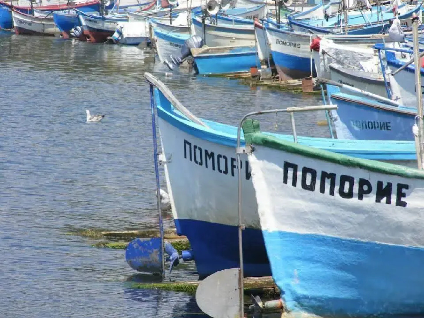 Family Hotel Electra