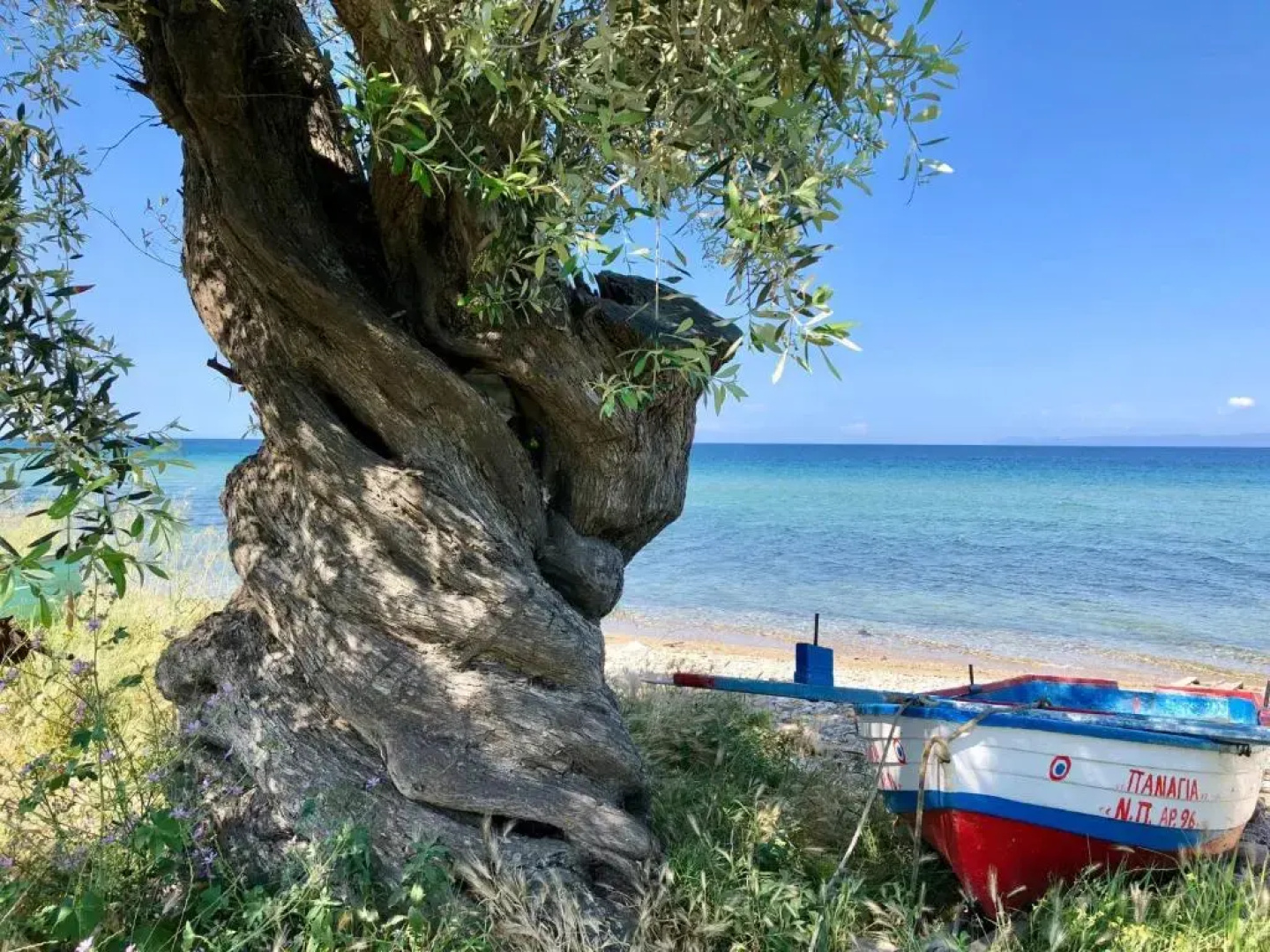 Exquisite Thassos Villa Villa Chateau 3 Bedroom Private Pool Sea View Skala Prinos